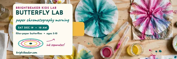 Brightbeaker butterfly lab chromatography header template