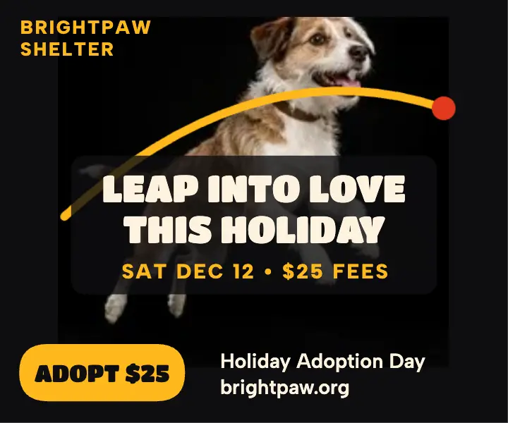 Brightpaw holiday adoption day ad template