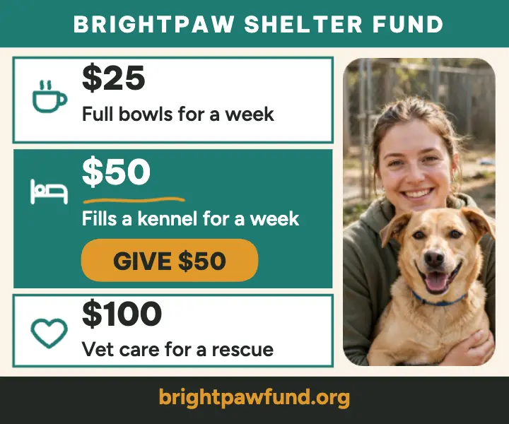 Brightpaw shelter donation tiers ad template