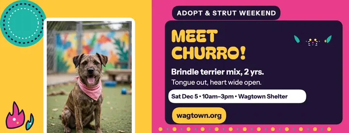 Churro terrier adoption fiesta cover: pet adoption facebook cover template