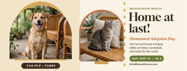 Brindlewood adoption day cover template