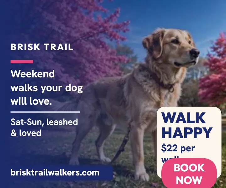Brisk Trail Walkers weekend walks ad template