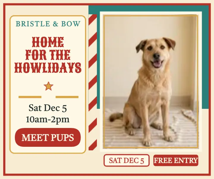 Bristle and Bow shelter adoption day ad template