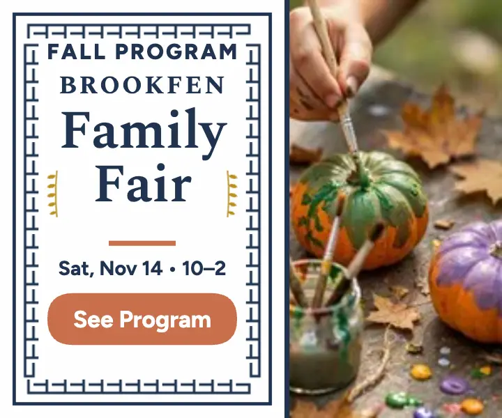 Brookfen Family Fair mini program ad: family fair ad template