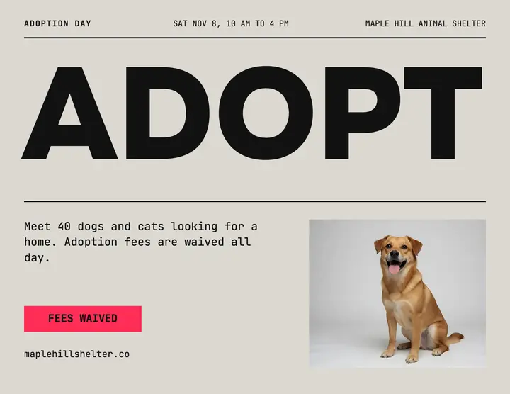 Maple Hill adoption day template
