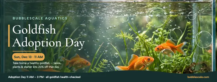 Bubblescale goldfish adoption cover template