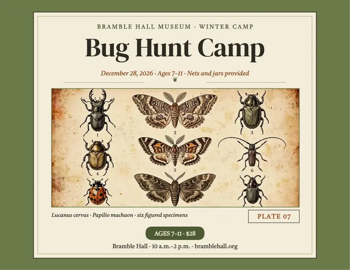 Bramble Hall bug hunt camp flyer template