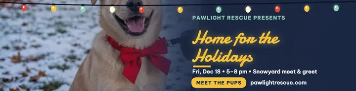 Pawlight holiday puppy adoption billboard template