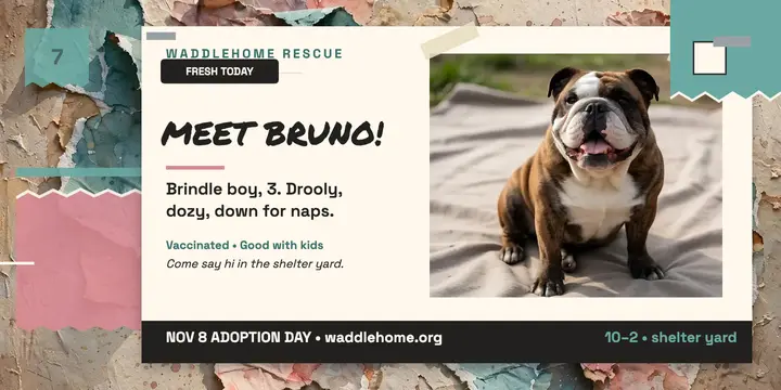 Waddlehome bulldog adoption wall post template