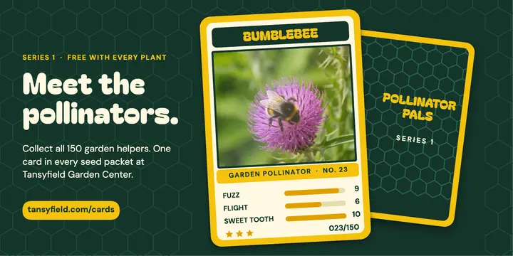 Pollinator Pals bumblebee card post: pollinator trading card x post template