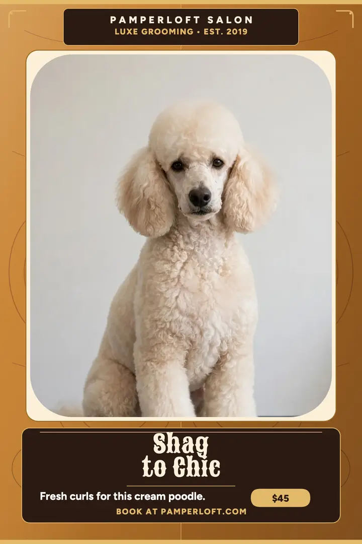 Pamperloft poodle groom poster template