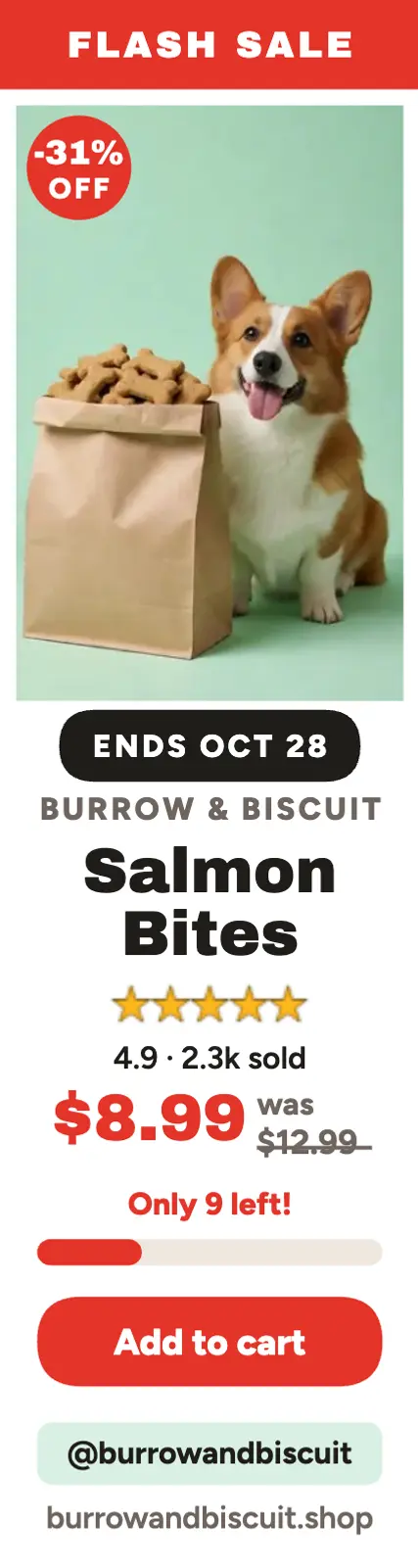 Burrow and Biscuit treats flash sale skyscraper template