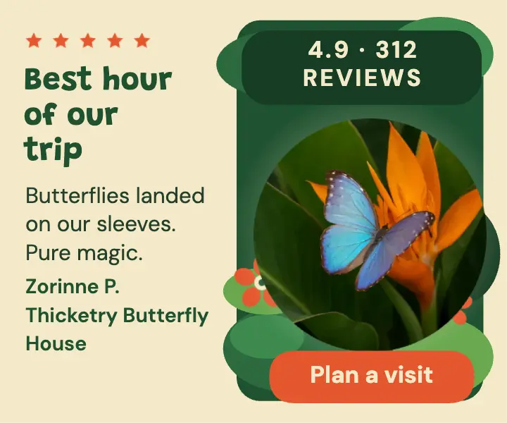 Thicketry butterfly house review card template