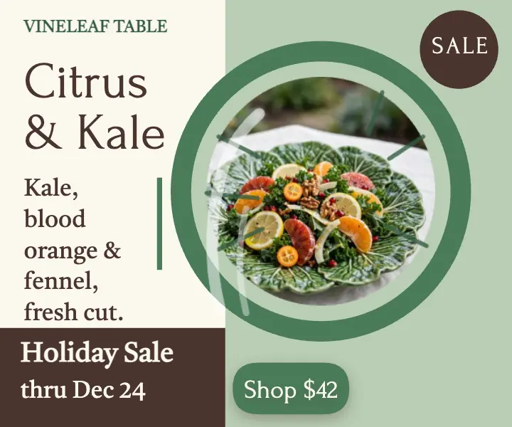Vineleaf Table cabbageware holiday ad: holiday salad ad template
