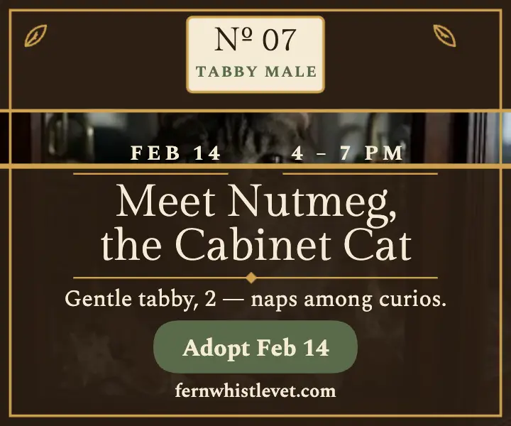 Fernwhistle Vet cabinet cat adoption ad template