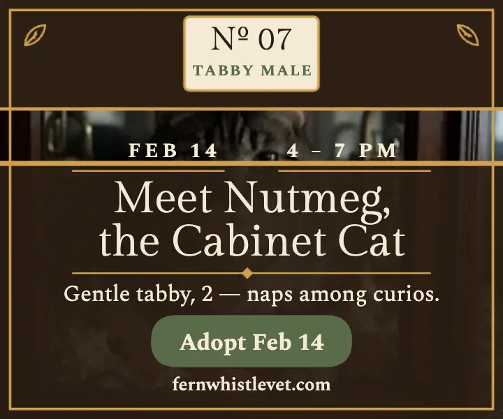 Fernwhistle Vet cabinet cat adoption ad template
