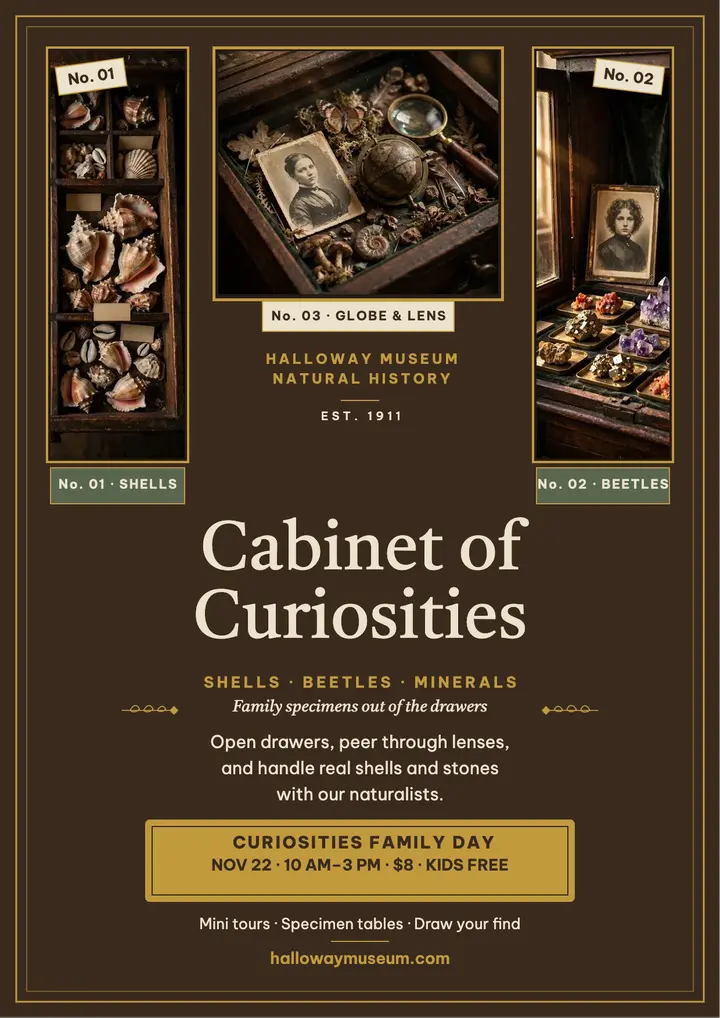 Halloway Museum cabinet curiosities flyer template