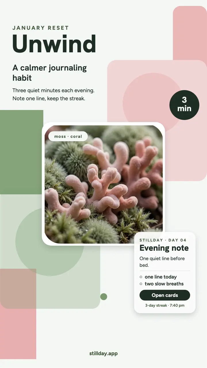Stillday calm journaling habit story template