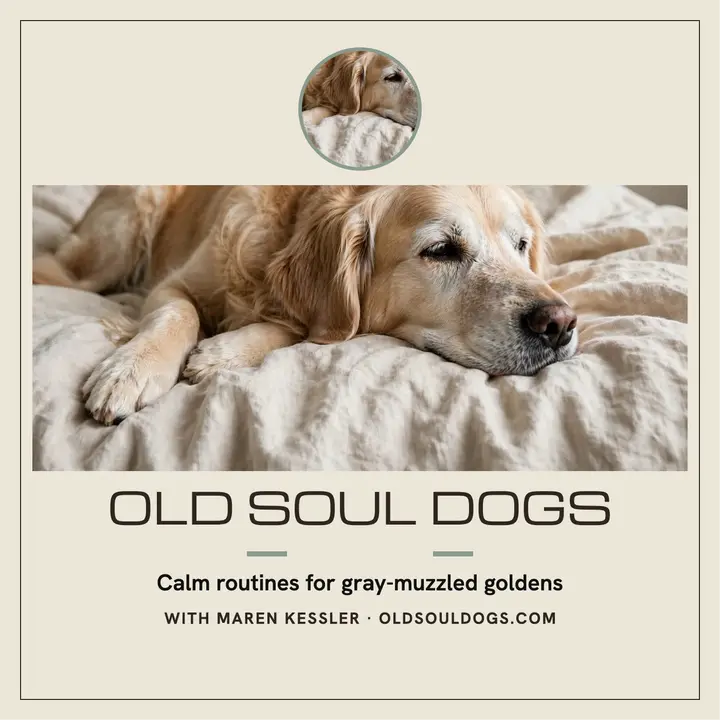 Old Soul Dogs calm senior podcast cover template