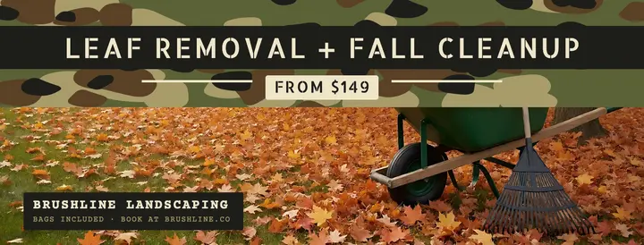 Brushline Landscaping fall cleanup cover template