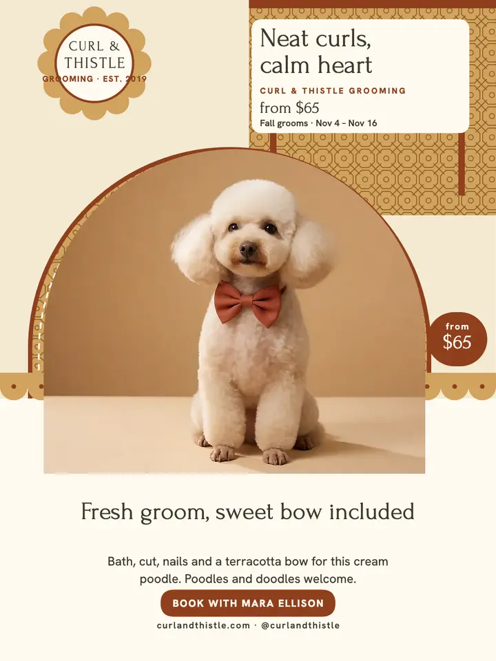 Curl and Thistle poodle grooming post: poodle grooming post template