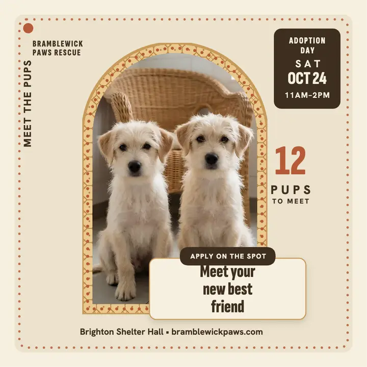Bramblewick puppy adoption day post: puppy adoption post template