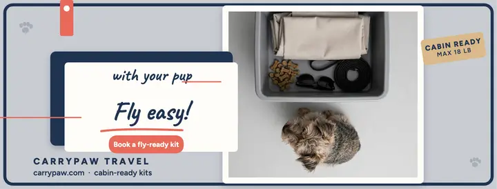 Carrypaw fly easy security cover template