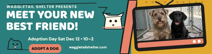 Waggletail cartoon shelter adoption billboard template