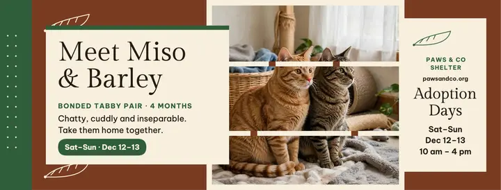 Miso and Barley tabby adoption stencil cover template