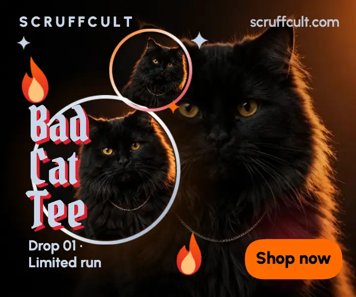 Bad Cat Tee drop, bootleg tee ad template
