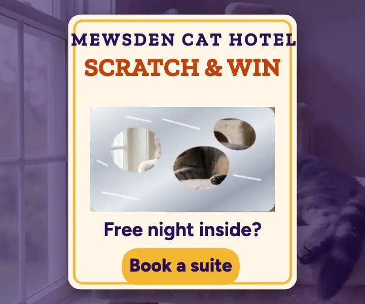 Mewsden Cat Hotel holiday booking scratch card ad template