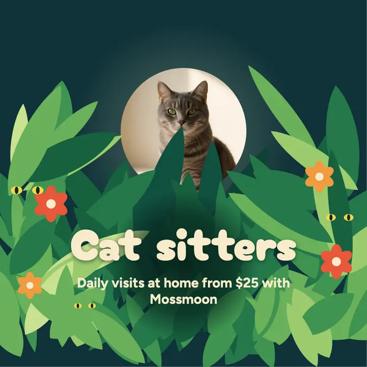 Mossmoon cat sitters naive jungle post template