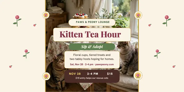 Paws and Peony kitten tea hour post template