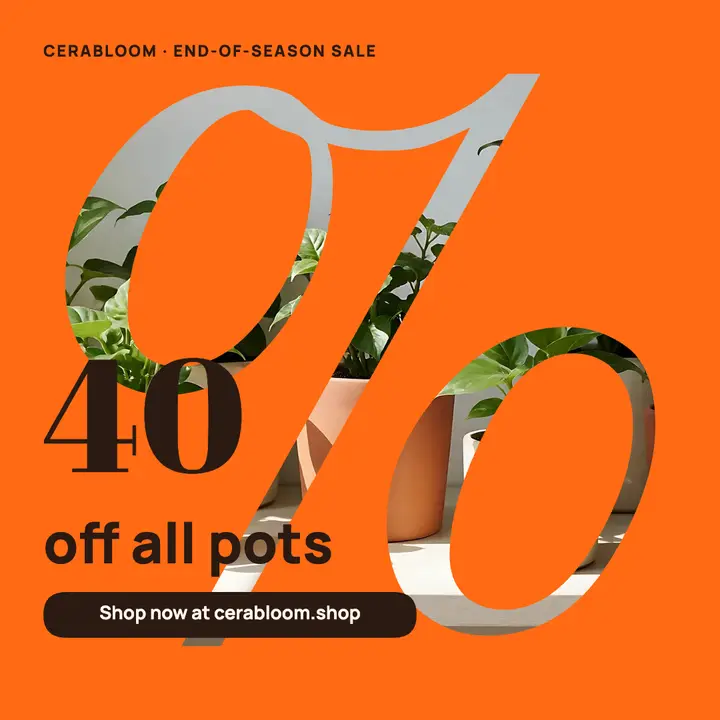 Cerabloom end-of-season planter sale post: planter sale post template