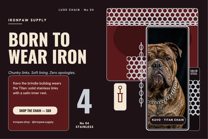Ironpaw bulldog chain collar postcard template