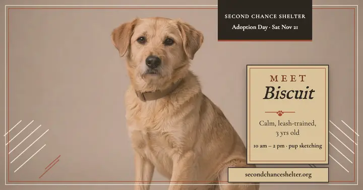 Biscuit chalk adoption post template