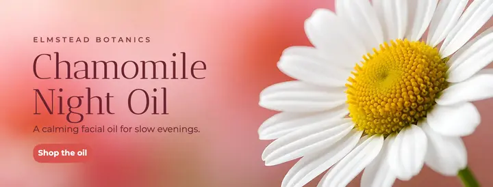 Elmstead chamomile night oil cover, macro bloom template