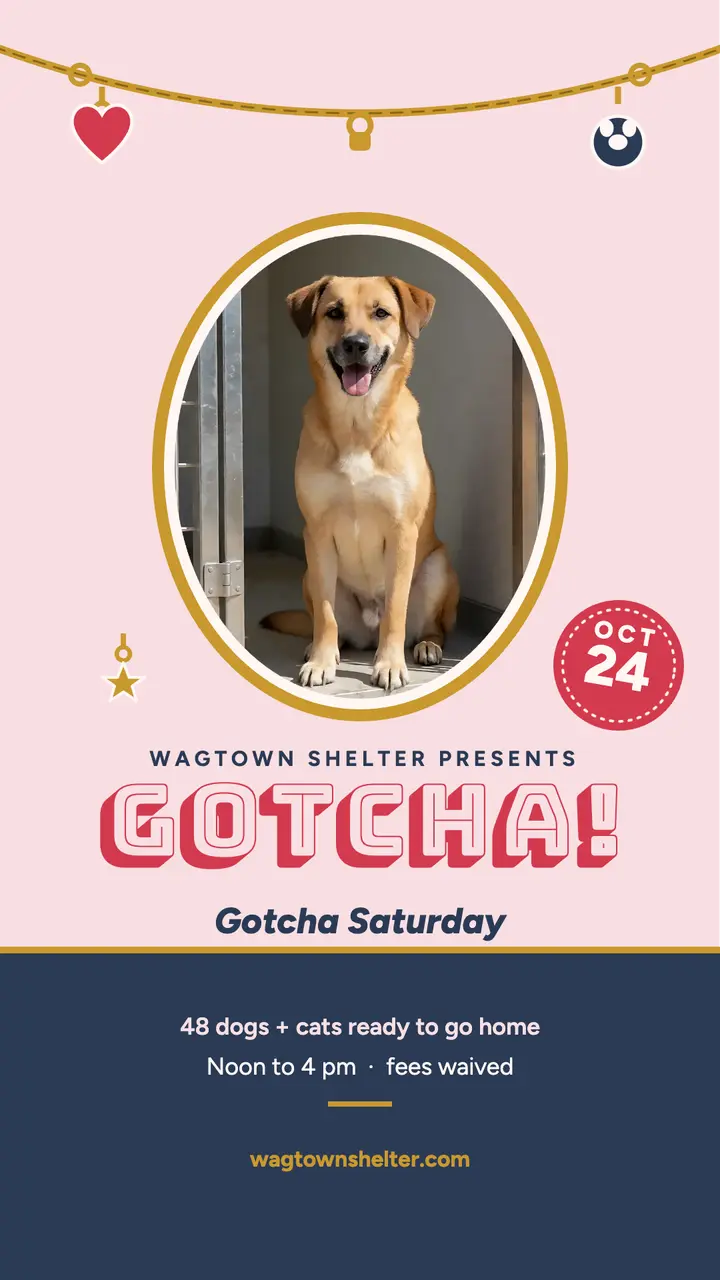 Wagtown Shelter gotcha day charm story: pet adoption story template