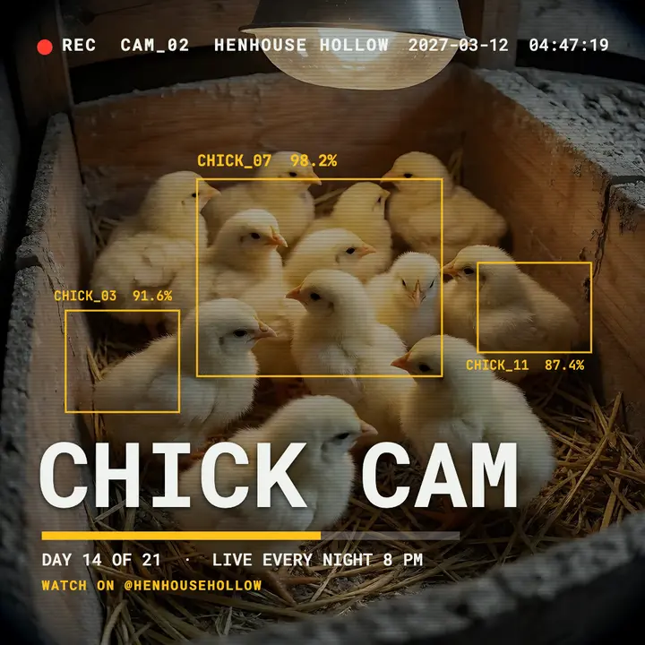 Henhouse Hollow chick cam surveillance post template