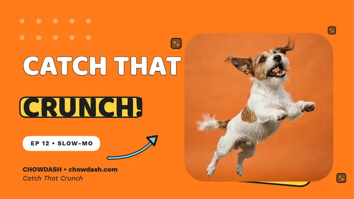 Chowdash treat-catch thumbnail, terrier lunge template