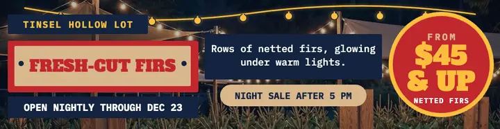 Tinsel Hollow Lot night sale billboard template