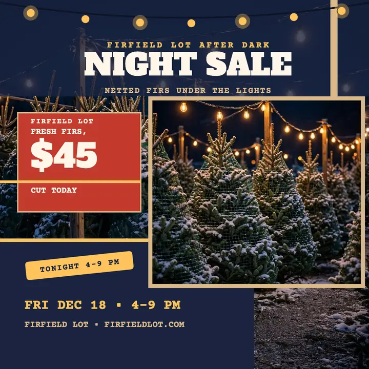 Firfield Lot tree night sale post template