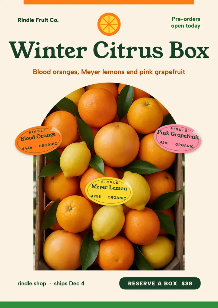 Rindle winter citrus box flyer template