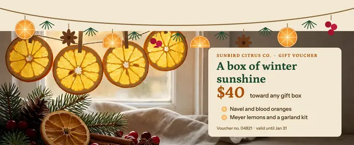 Sunbird Citrus winter gift voucher template
