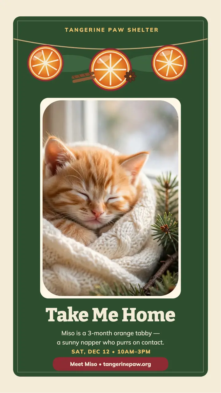 Miso kitten holiday adoption story template