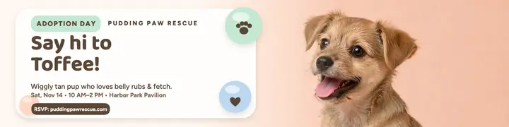 Toffee puppy adoption day clay banner template