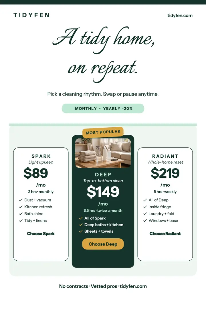 Tidyfen cleaning plans pricing poster: cleaning pricing poster template