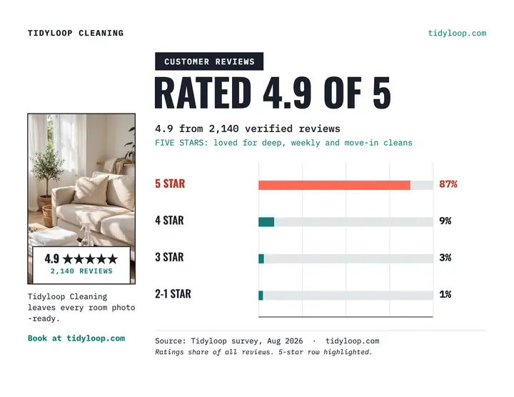 Tidyloop cleaning reviews chart flyer template