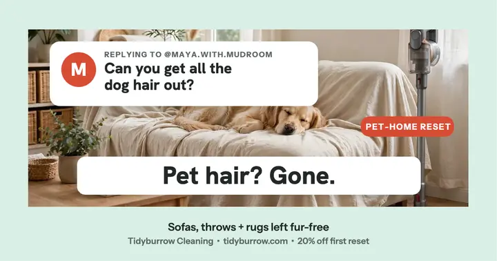 Tidyburrow pet hair FAQ post template
