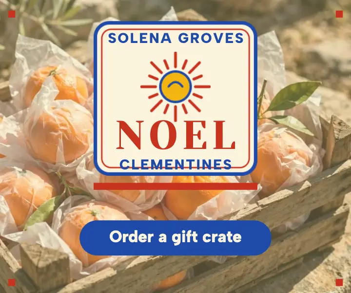 Solena Groves clementine crate holiday ad template